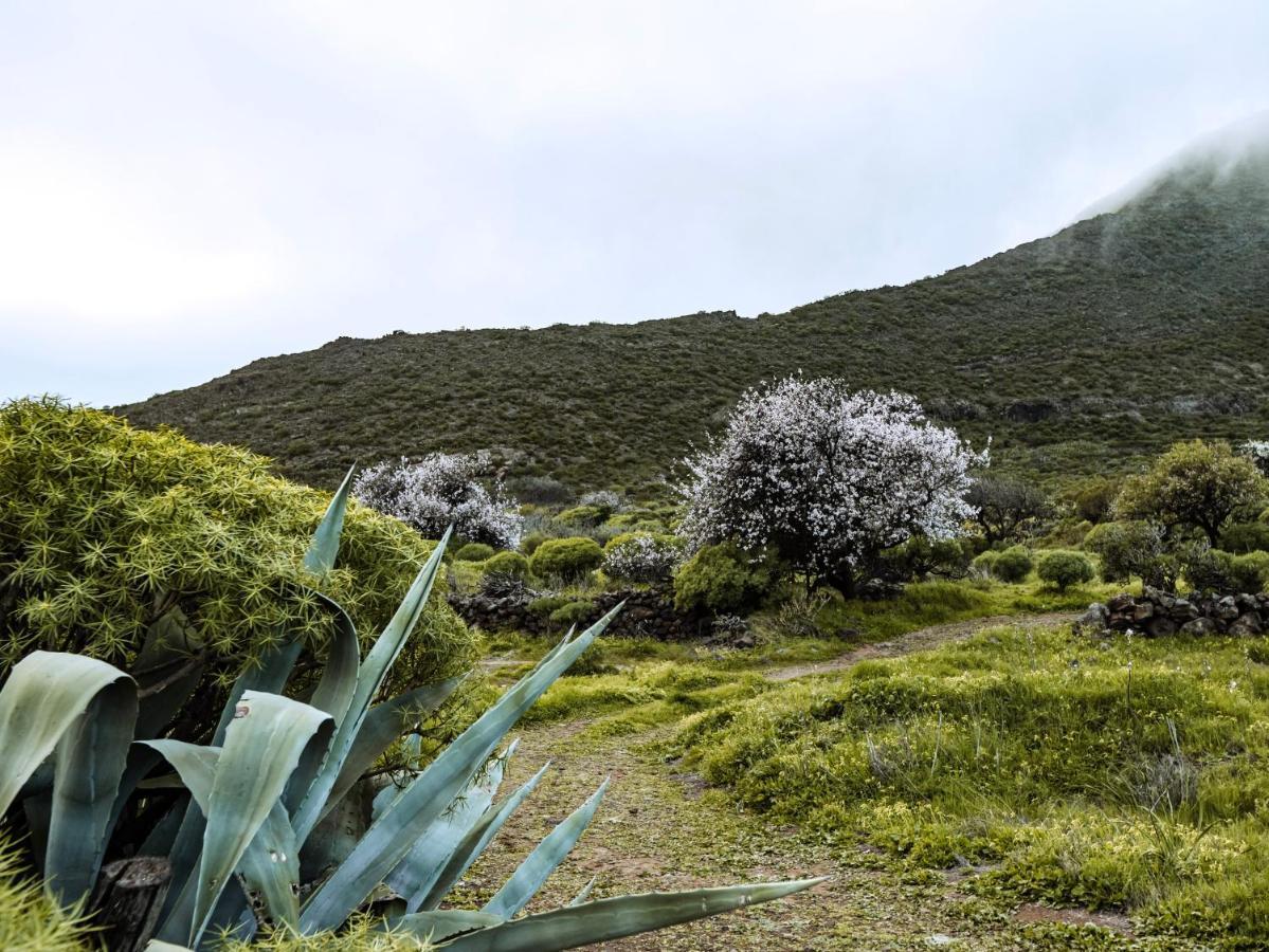 Luxury Villa In Nature With Swimming Pool Tenerife, Santiago Del Teide, With Sea And Mountain Views El Retamar Bagian luar foto