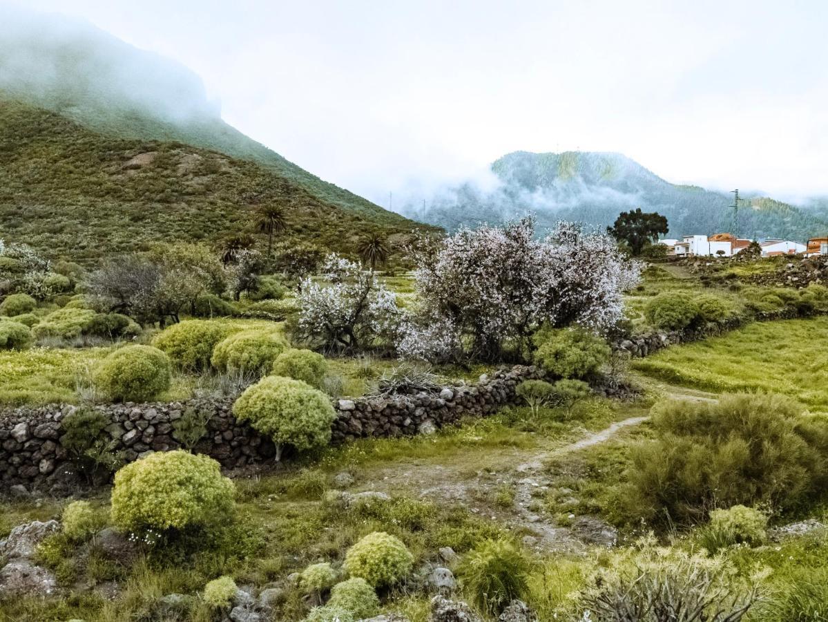 Luxury Villa In Nature With Swimming Pool Tenerife, Santiago Del Teide, With Sea And Mountain Views El Retamar Bagian luar foto